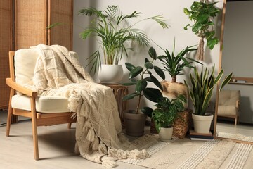 Living room interior with wooden furniture and different houseplants near white wall