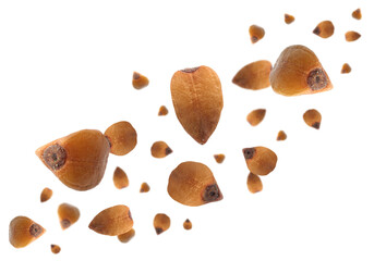 Raw buckwheat grains flying on white background