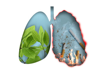 Illustration of human lungs - one part with image of fresh leaves, another with cigarettes on white...