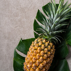 Fresh pineapple with tropical leaves on gray background.
