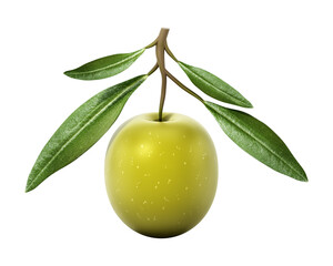 Fresh green olive with leaves isolated on white background. 3D illustration