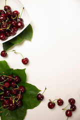 sweet cherry on a white background close-up	