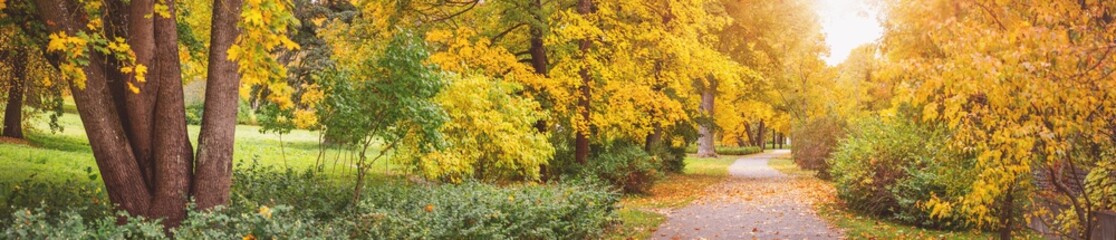 Beautiful autumnal park with footpath covering by leaves