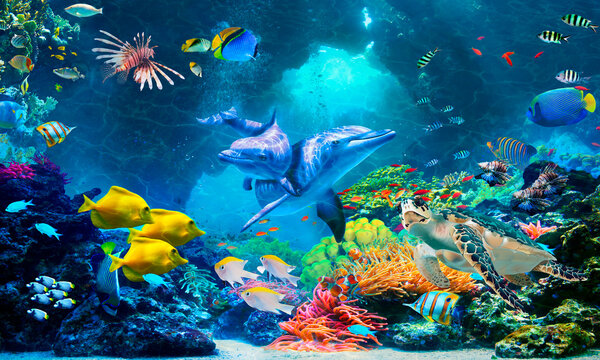 Underwater world with reefs and dolphins. Digital collage. Photo wallpapers.