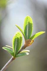 希望に開いて（Open to hope.)