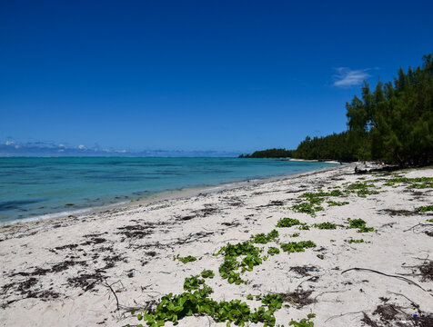 beach