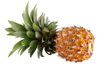 Ripe pineapple fruit  isolated on alpha background.
