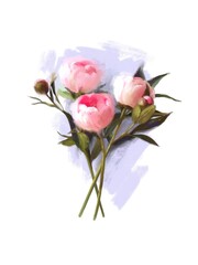 delicate, beautiful bouquet of realistic pink peonies on a lilac background. digital hand drawn illustration. use for decoration, logo, packaging or label, postcard and poster printing.