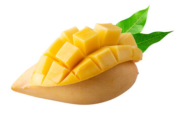Mango cubes and slices Isolated on alpha background