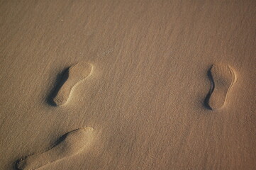 footprints in the beach sand