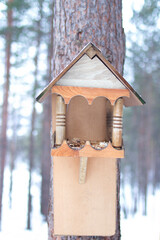 Birdhouse on a tree, close-up, handmade. Painted wooden bird feeder on a tree trunk in winter. Vertical photo.