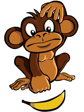  Cartoon monkey looking at a banana and scratching his head. Transparent background.
