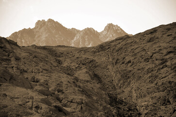 Desert of Sinai Peninsula, Egypt. Near Sharm El Sheikh