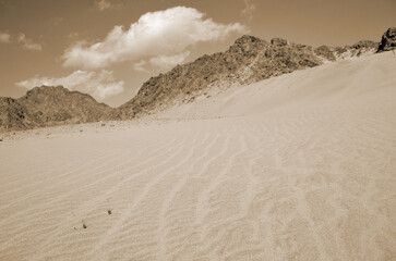 Desert of Sinai Peninsula, Egypt. Near Sharm El Sheikh