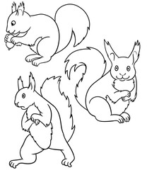 Monochrome Set of cute cartoon squirrels in different poses, cute squirrel looking at a nut and sitting