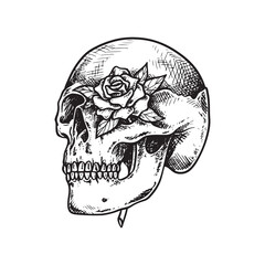 skull head with rose illustration