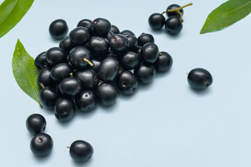 freshly harvested ripe Jambolan plum or Java plum (Syzygium cumini) fruits.
