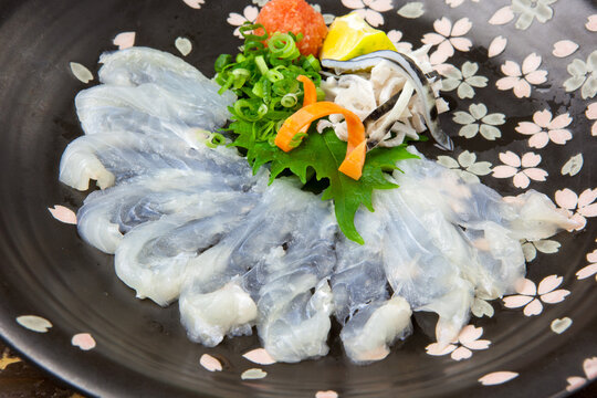 透明感のある美しい身が円状に並んだ「ふぐのお造り（てっさ）」。もみじおろしやネギを添えた贅沢な一皿は、和食店のメニュー紹介や冬の味覚、高級会席料理の広告に最適な高品質フード素材です。 | Thinly sliced pufferfish sashimi (Tessa) on a decorative plate.