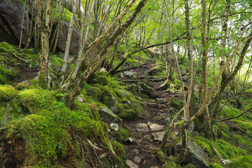 Along the Brufjell hiking trail in Ana Sira, Guide post - Norway