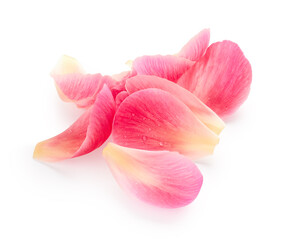Fototapeta na wymiar Pink petals isolated on white background. Spa theme