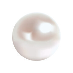 Shiny pearl. Realistic illustration. Transparent background.