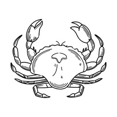 Hand drawn crab seafood vector illustration. Ocean aquatic underwater engraving vector animal illustration on white background.