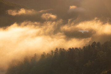 lever de soleil avec nuages sur une forêt