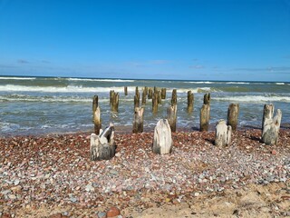 water bottle and remains of the wooden pier