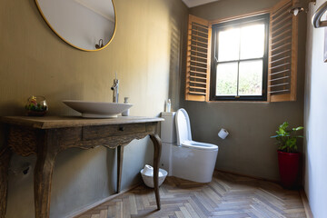 General view of luxury interior of bathroom with toilet and washbasin