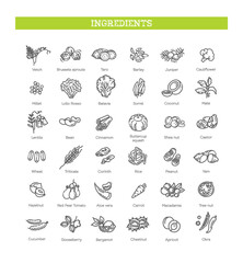 Vegetables and fruit vector flat collection