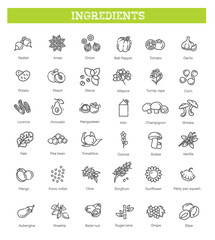 Vegetables and fruit vector flat collection