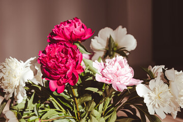 Close-up of ornate bouquet of various peonies. Blurred room in background. Greeting card. Post card.