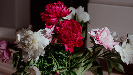 Close-up of ornate bouquet of various peonies. Blurred room in background. Greeting card. Post card.