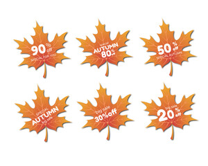 autumn big sale set design vector