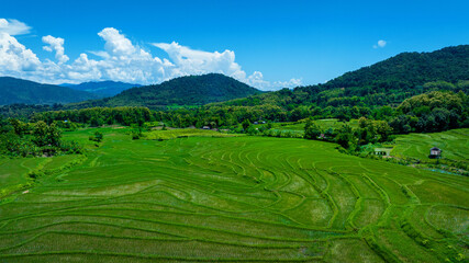 Aerial view of Rice terrace in Luang Prabang, Laos.