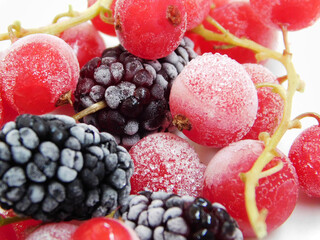 Frozen red currant and mulberry macro photo.