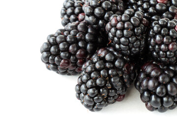 Thornless blackberry on a white isolated background