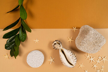 Pumice stone, shells and green leaves , starfish on a light brown and orange background for your eco design, cosmetics, travel, home decor.Copy space. Flat lay.