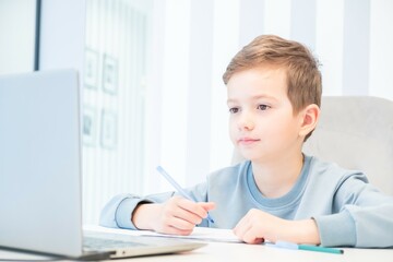 Naklejka na ściany i meble Distance school education homework learning. online