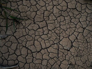 dried cracked soil, dry desert 