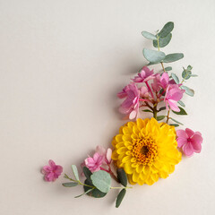Floral composition greeting card mockup. Pink and yellow flowers with copy space. Hydrangea, dahlias and eucalyptus.