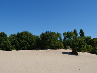 Sand dunes at De Panne Beach