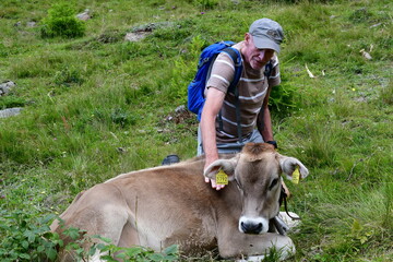 Mann streichelt eine Kuh auf einer Weide in Südtirol 