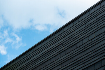 Fototapeta na wymiar Modern building exterior and roof 