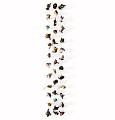 Concept or conceptual large community of people forming the font I. 3d illustration metaphor for unity and diversity, humanitarian, teamwork, cooperation, education, friendship and community