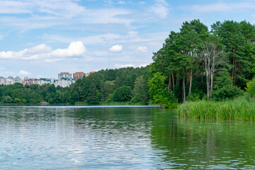 Panorama of Zhytomyr, a forest with a river against the backdrop of residential buildings in the distance.