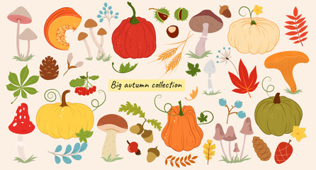 Autumn set with vegetables. Autumn harvest. Collection with pumpkins, mushrooms, chestnut, acorn, berries, leaves.