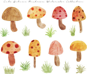 set of autumn mushrooms and grass watercolor illustration