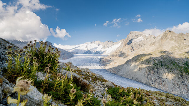 Fantastic view of the great Rhone glacier and the mountains in the canton of Valais. Furka Pass, Switzerland. Viewpoint