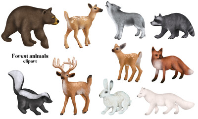 Set of winter woodland animals, forest cute characters clipart, isolated illustration on white background